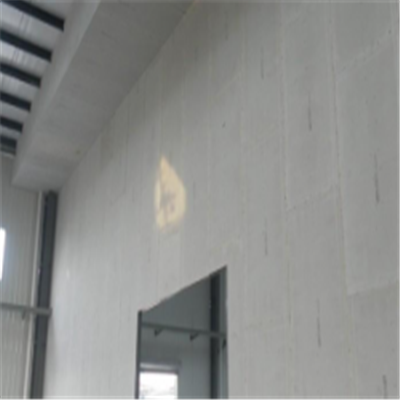 莲湖宁波ALC板|EPS加气板隔墙与混凝土整浇联接的实验研讨